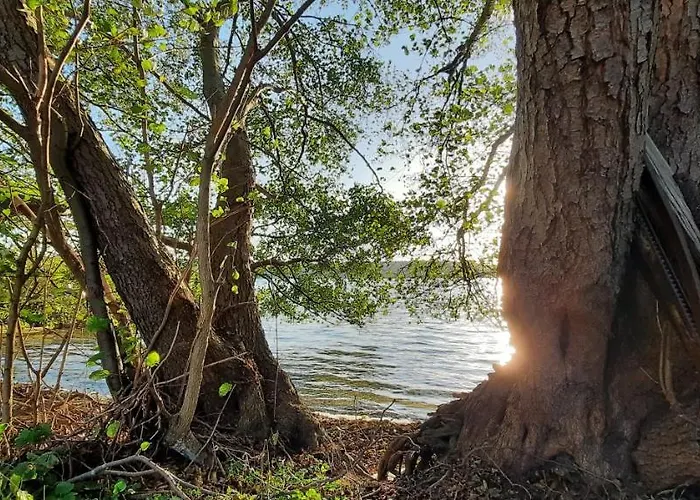 Holzendorfer * Holzendorf